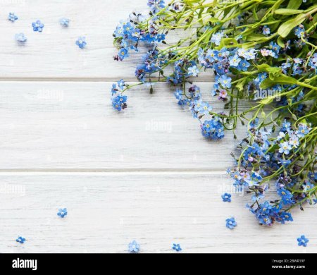 Незабудки на деревянном фоне