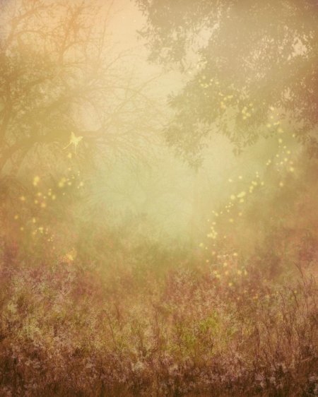 Фон для портрета природа