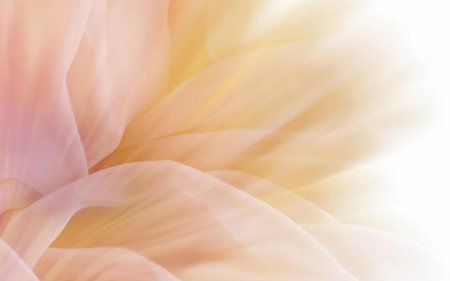 Бежевые фон