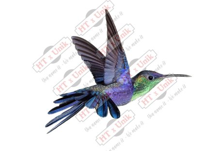 Птица колибри