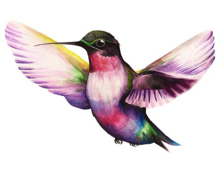 Колибри птичка