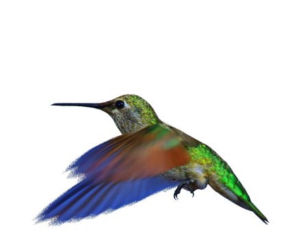 Птички Колибри гиф