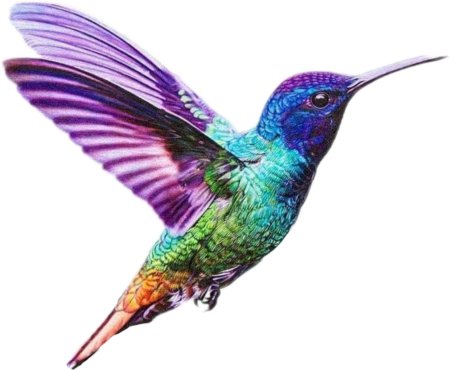 Птица колибри