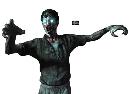 Call of duty black ops zombie