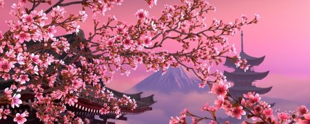 Сакура фон