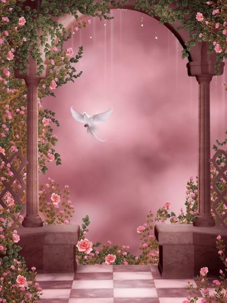 Фоны для фотографий