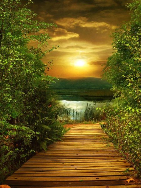 Сказочная природа