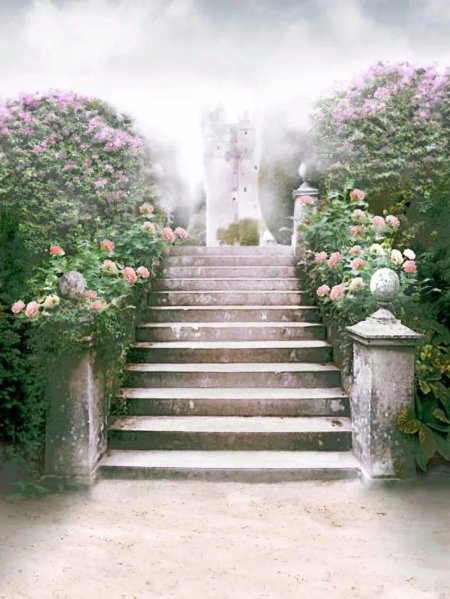 Фон для фотосессии