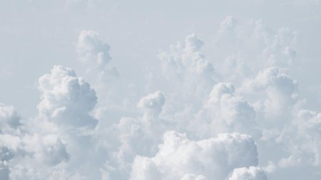 Вайт Клауд White cloud