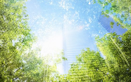 Фон для буклета