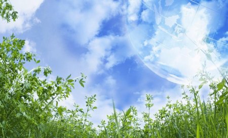 Фон для презентации природа