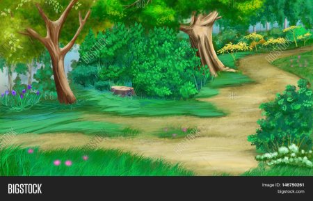 Сказочный лес с тропинкой