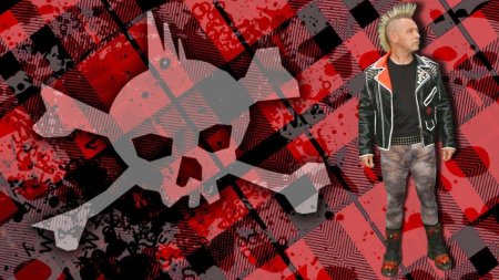 Пинк панк группа