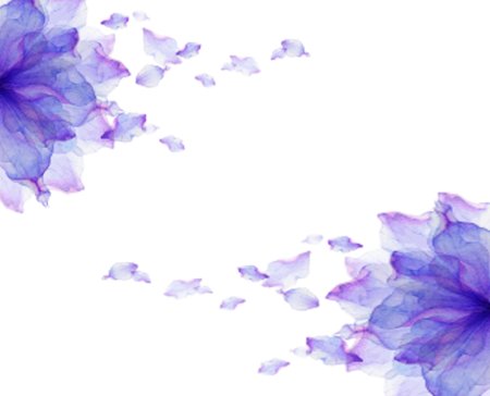 Фиолетовые цветы на прозрачном фоне