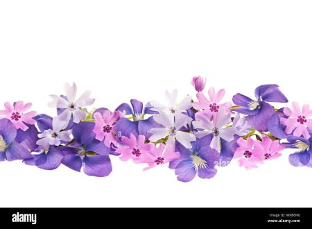 Цветы горизонтальные