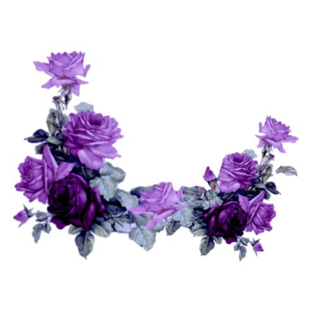 Цветы на прозрачном фоне