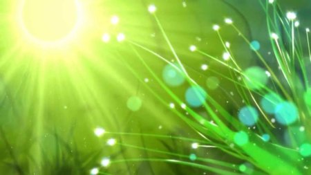 Зеленый фон