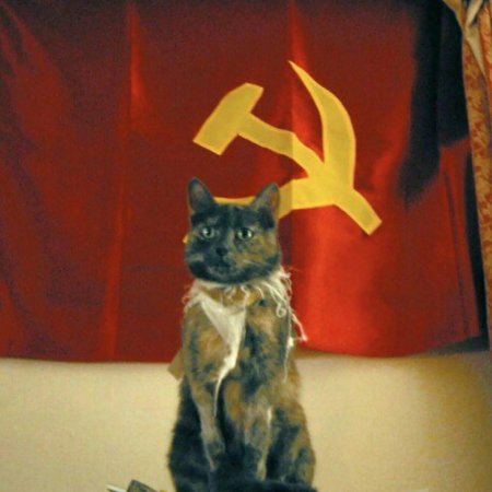 Советский кот