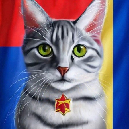 Кот на фоне флага ссср