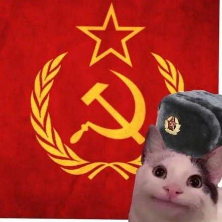 Кот татарин