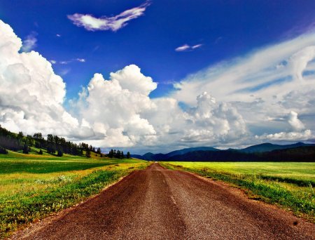 Природа дорога