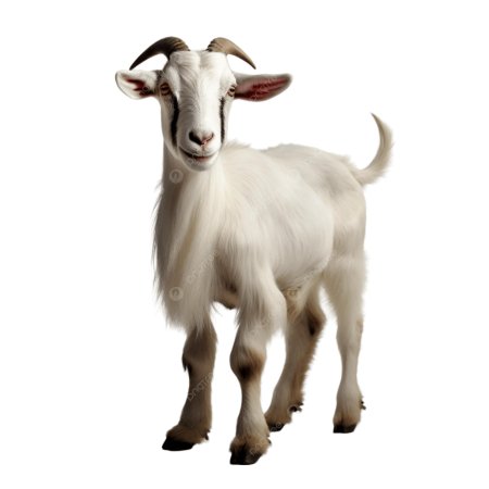 Коза без фона