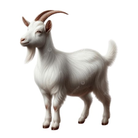 Козел белый