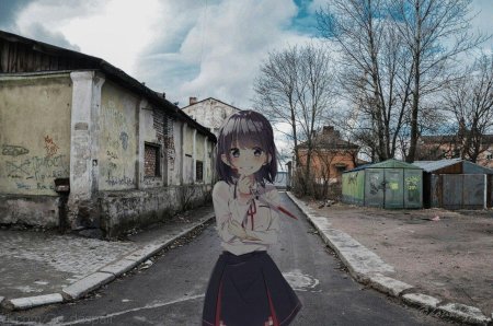 Приключения 2д тян в СНГ