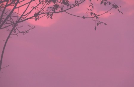 Эстетический фон