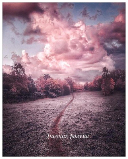 Пейзаж в розовых тонах