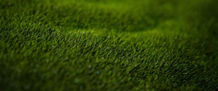 Газон макро