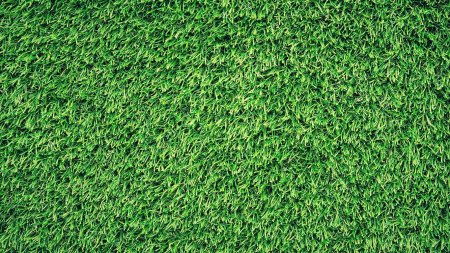 Трава вид сверху