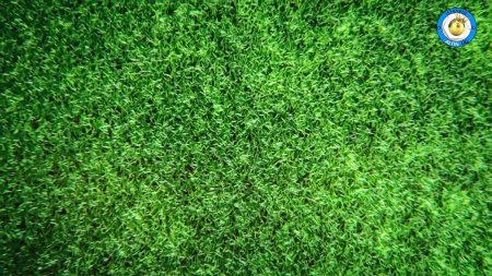 Искусственный газон текстура
