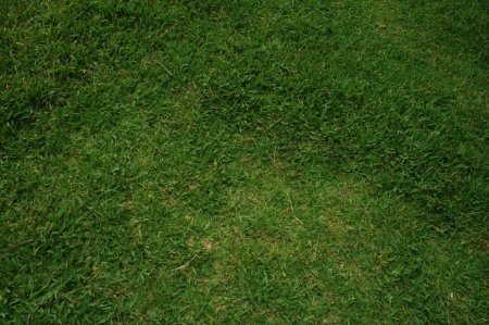 Текстура травы для Юнити