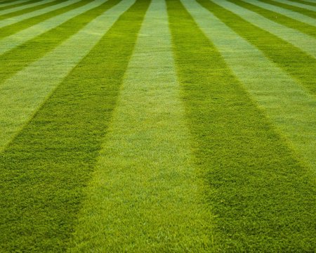 Футбольное поле фон