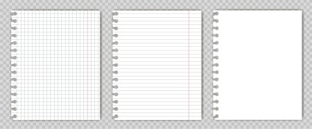 Notebook paper