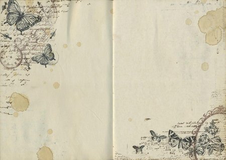 Фон блокнот