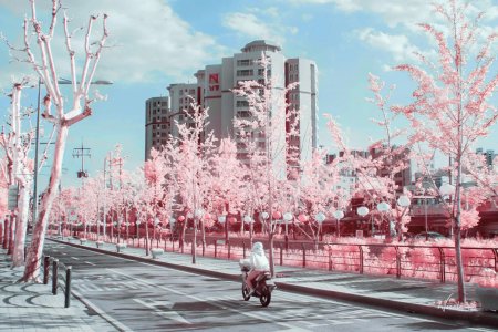 Эстетика южной кореи