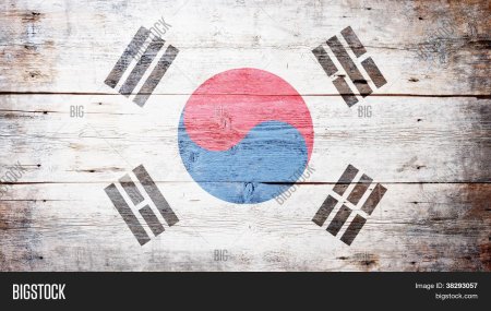 Flag of south korea