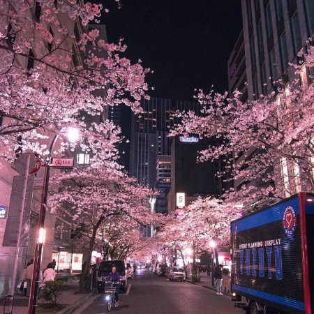 Япония эстетика токио