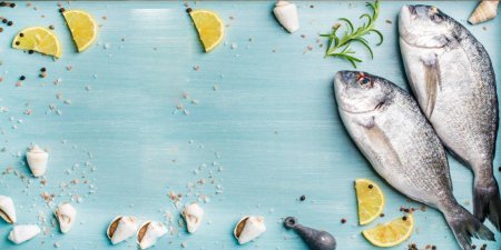 Морская курица рыба