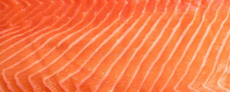 Рыба красного цвета