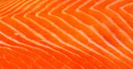 Текстура мяса рыбы