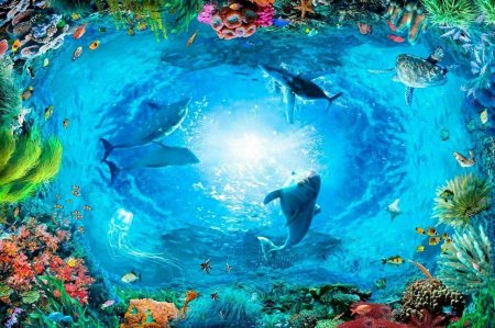 Подводный мир дельфины