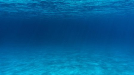 Морское дно