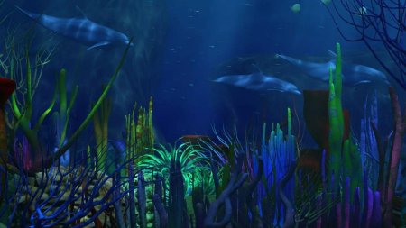 Красивый подводный мир