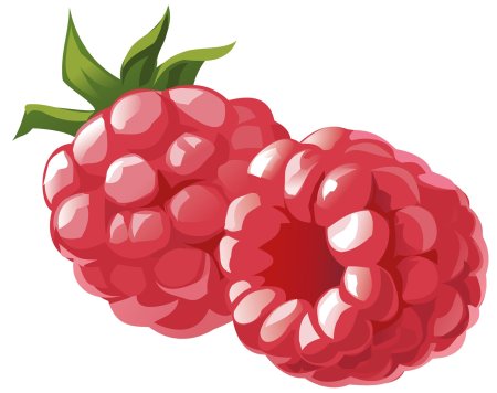 Малина рисунок для детей