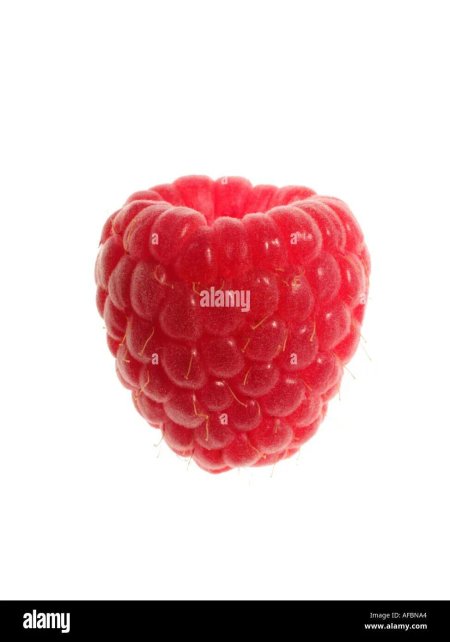 Малина одна на белом фоне