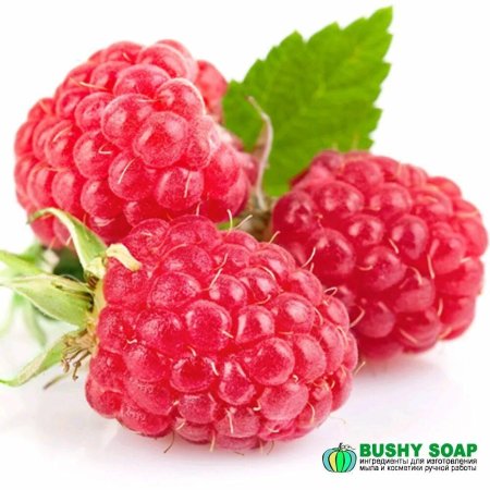 Малина ягода