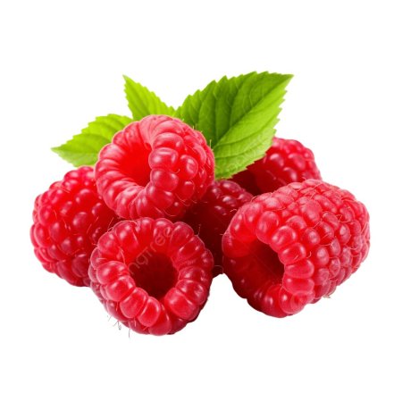 Малина для фотошопа